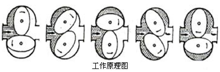 雙轉子容積式流量計工作原理圖