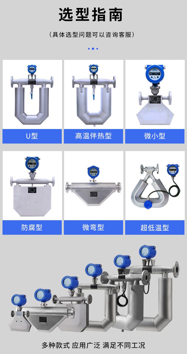 天然氣質量流量計產品分類圖